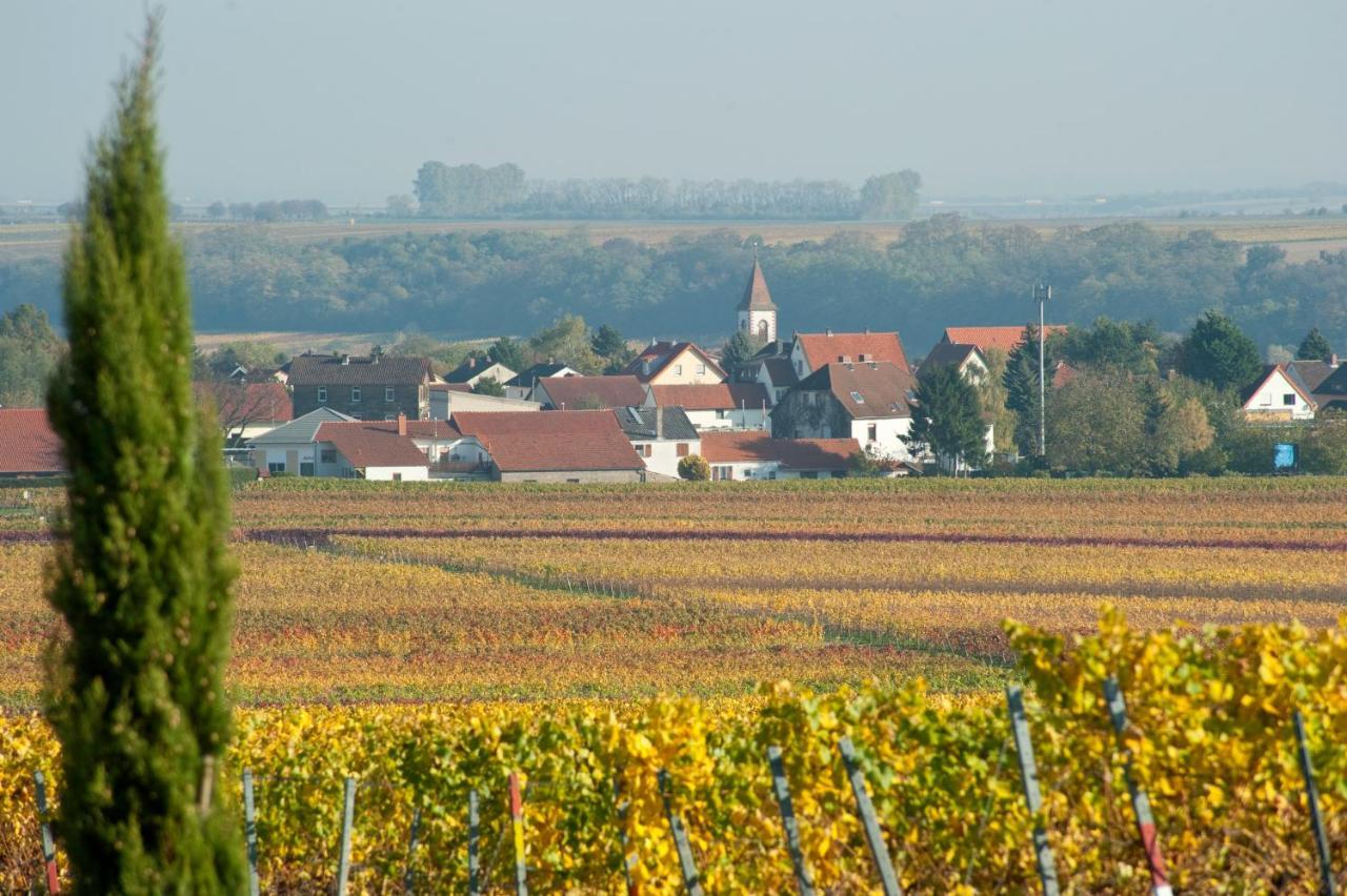 Gaestehaus & Weingut Peth Florsheim-Dalsheim Extérieur photo